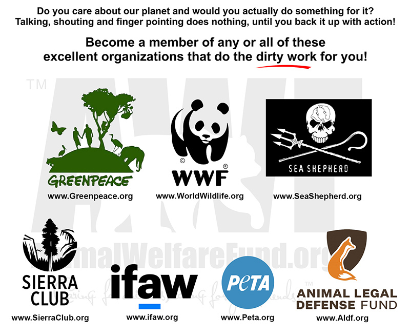 Click on each logo to visit the official websites!